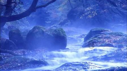三国杀官方正版下载安装-专业知识问答网页